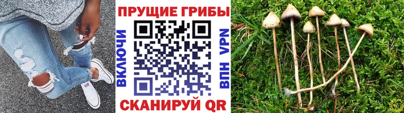 Галлюциногенные грибы ЛСД  как найти закладки  Верхняя Тура 